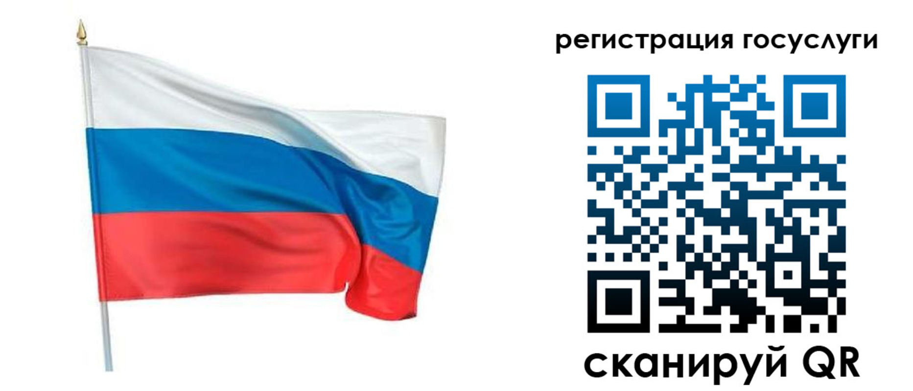 прописка паспорт в Владимирской области